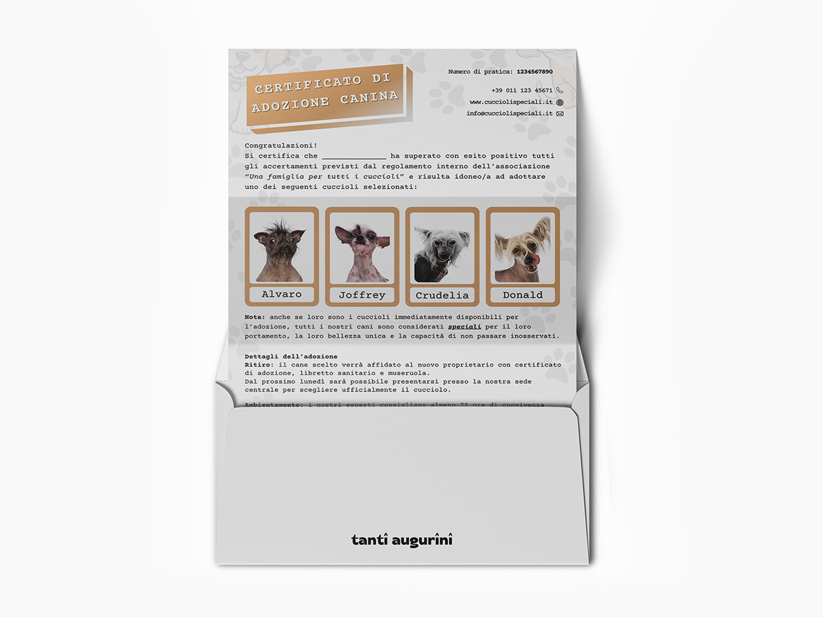 Mockup ironico di augurino del finto voucher per adozione di cani diversamente belli con nomi stravaganti e divertenti con busta per lettere che lo contiene